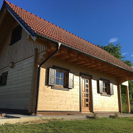 Loghouse Brunka - Escape From Life On A Highway Villa Gornja Radgona Exterior photo