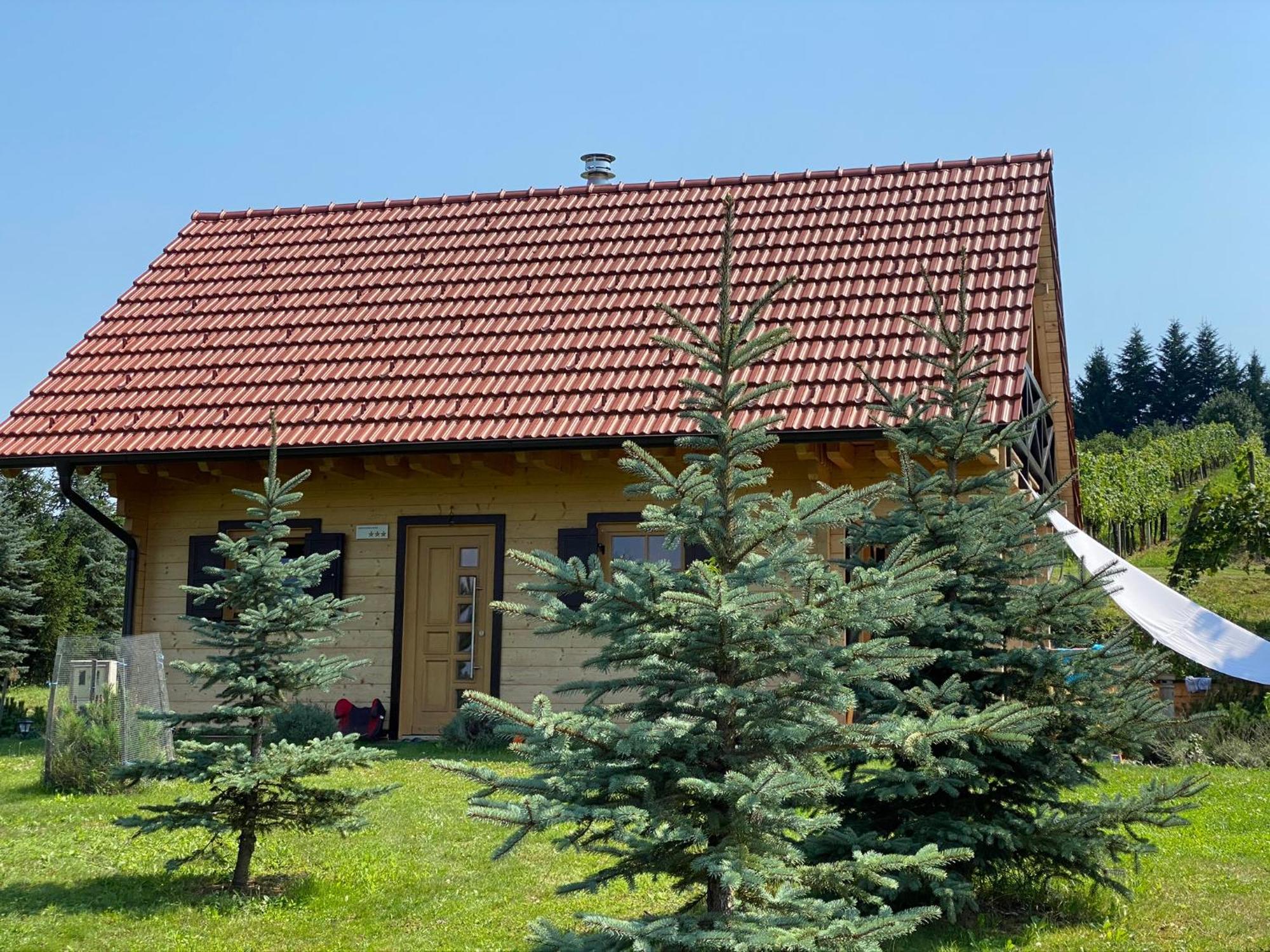 Loghouse Brunka - Escape From Life On A Highway Villa Gornja Radgona Exterior photo